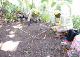 Cameroun: découverte d&rsquo;une fosse commune dans une plantation vers Édéa