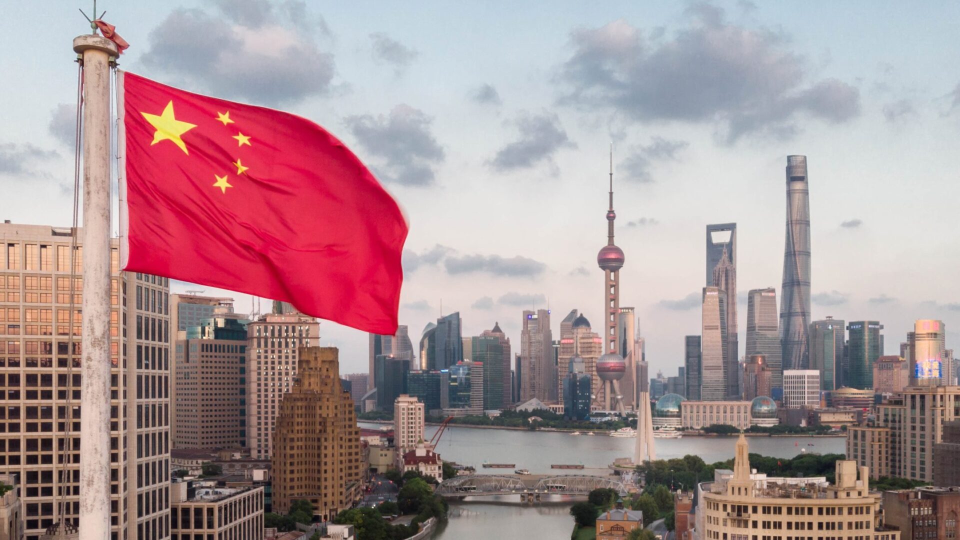 Focus sur la Chine : les voyages de sauvetage d&rsquo;arbres enracinés dans la démocratie chinoise