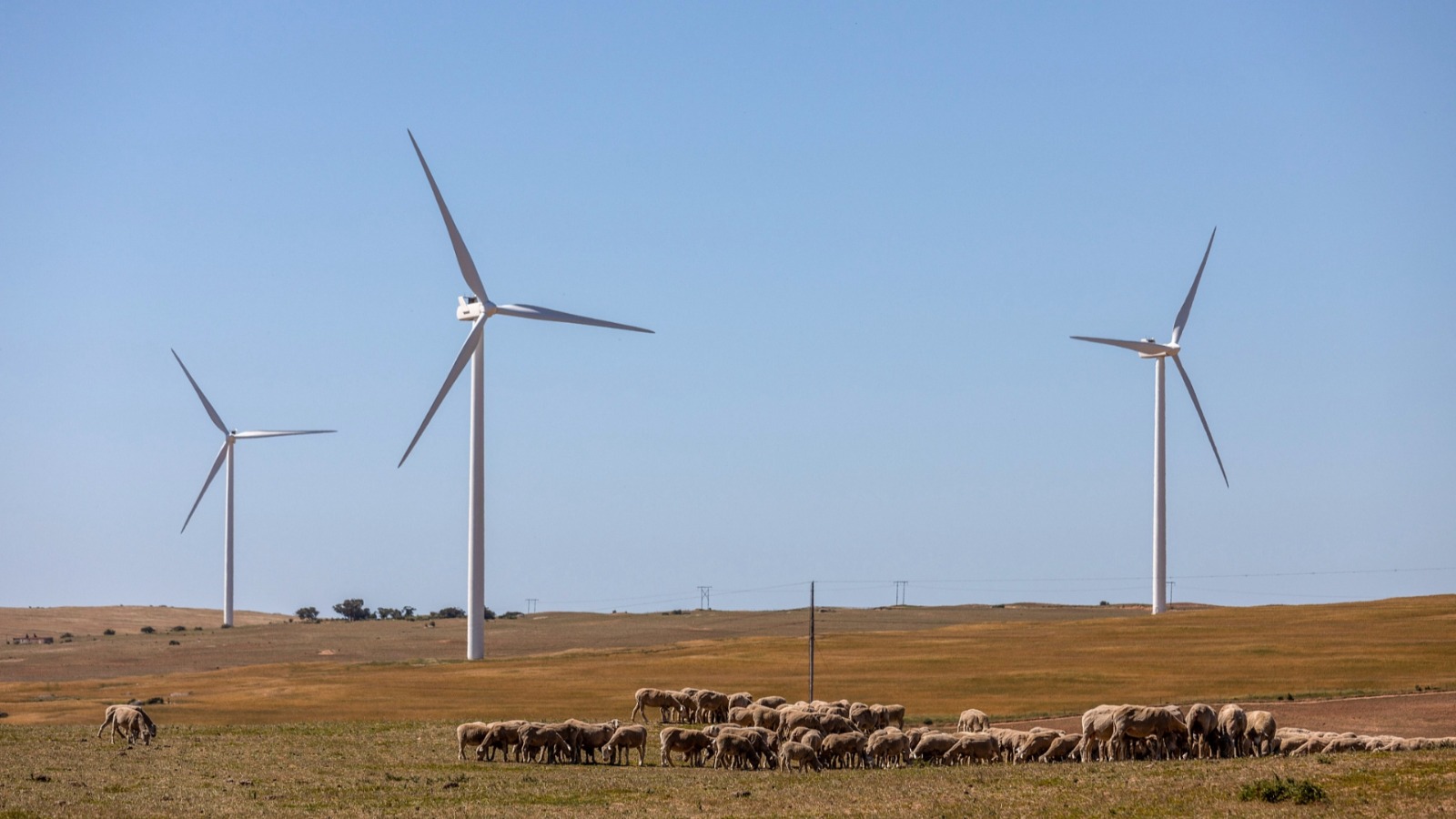 Transition écologique : la coopération sino-africaine bénéfique pour les populations africaines