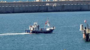 Flottille pour Gaza : 21 des 49 Espagnols à bord devraient quitter Israël ce dimanche