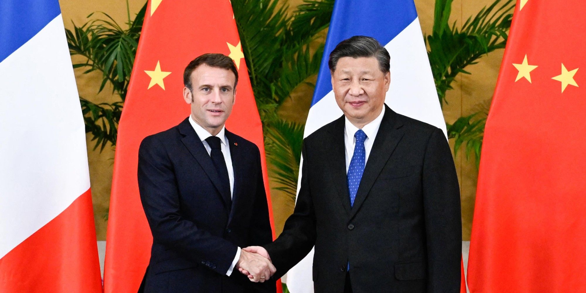 La Chine et la France conviennent de lancer un nouveau cycle de coopération en matière de protection des pandas géants